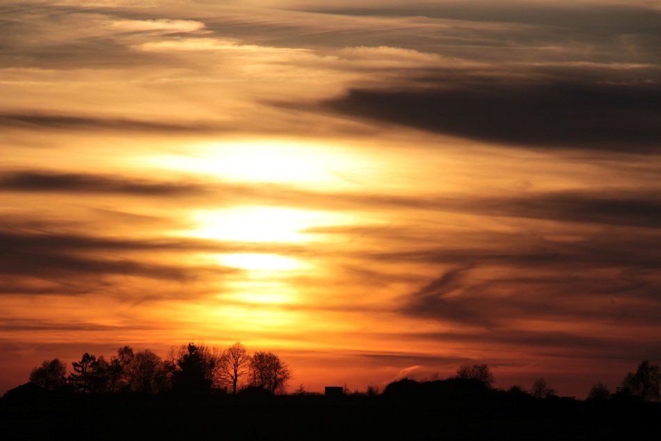clouds in the sky during sunset over trees