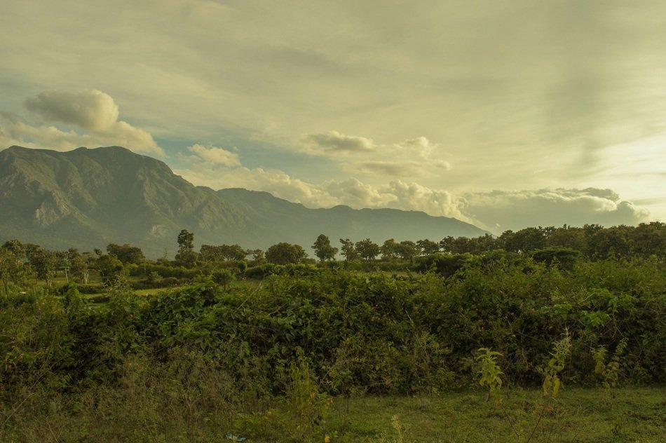 Beautiful mountains with green trees under the clouds