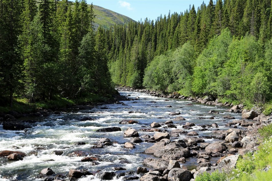 gorgeous Nature Water