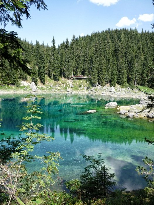 Lake Carezza in the forest