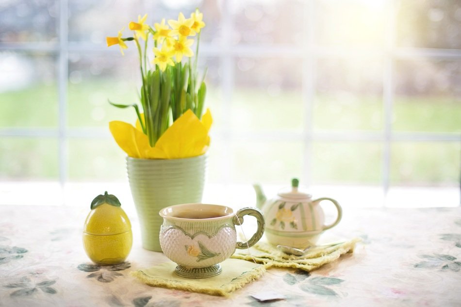 yellow daffodils for tea party