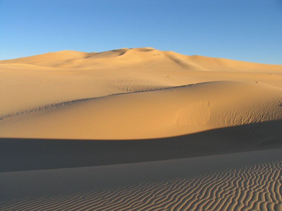 desert with sand
