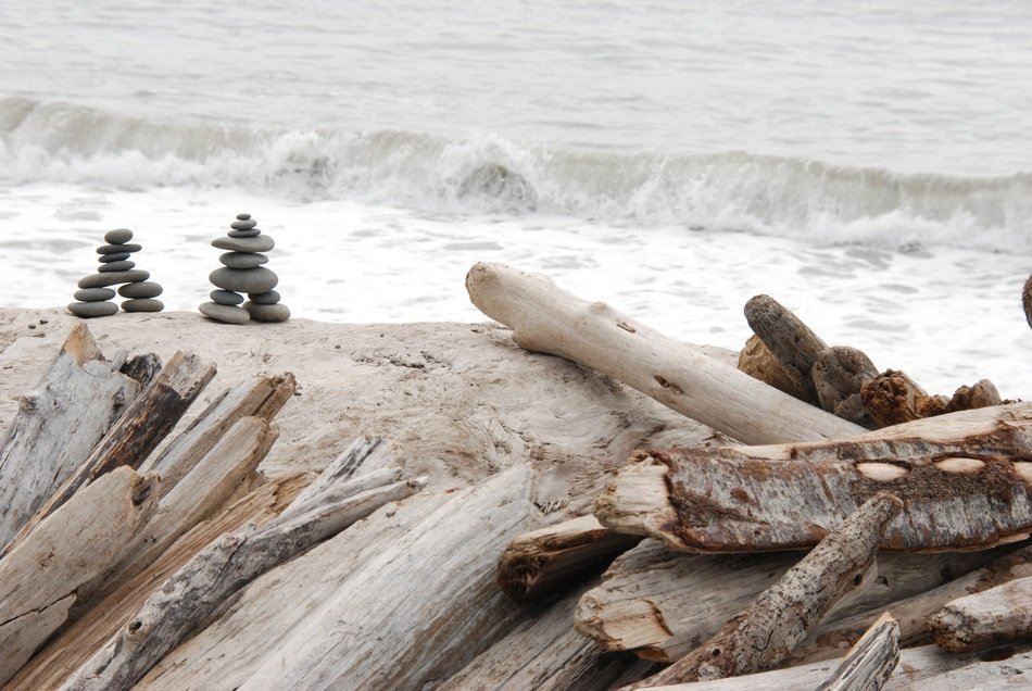 sea Landscape with pebble and barks