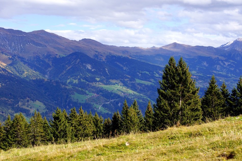 Beautiful and colorful mountains with plants in Highlands