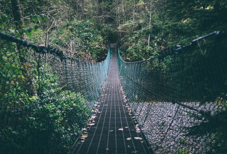 Long foot bridge in a forest