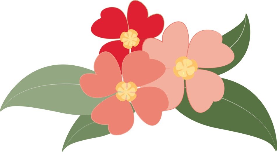 Drawing of Pink and red Flowers