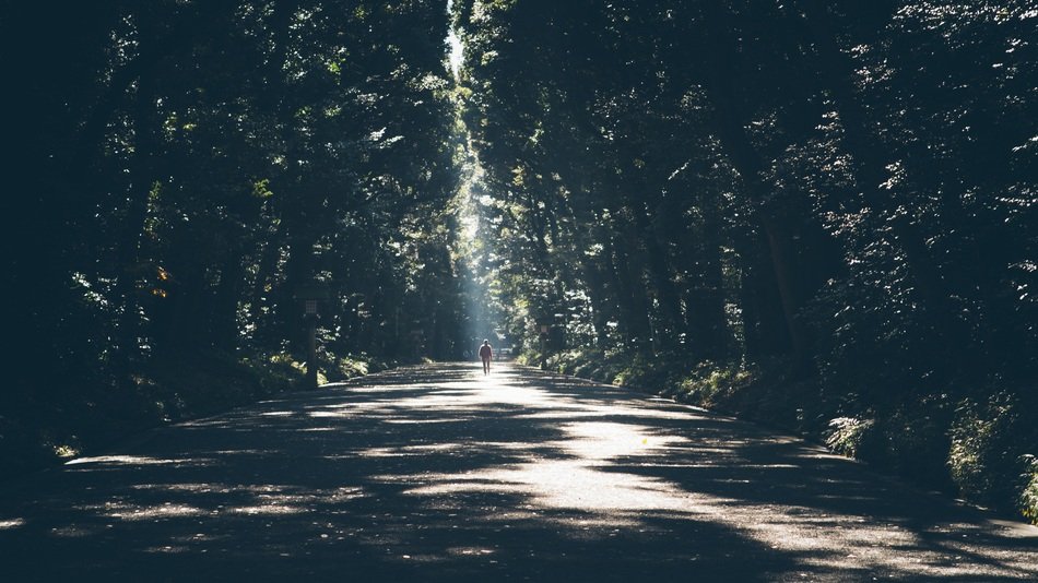 landscape of Walking on the path in the forest