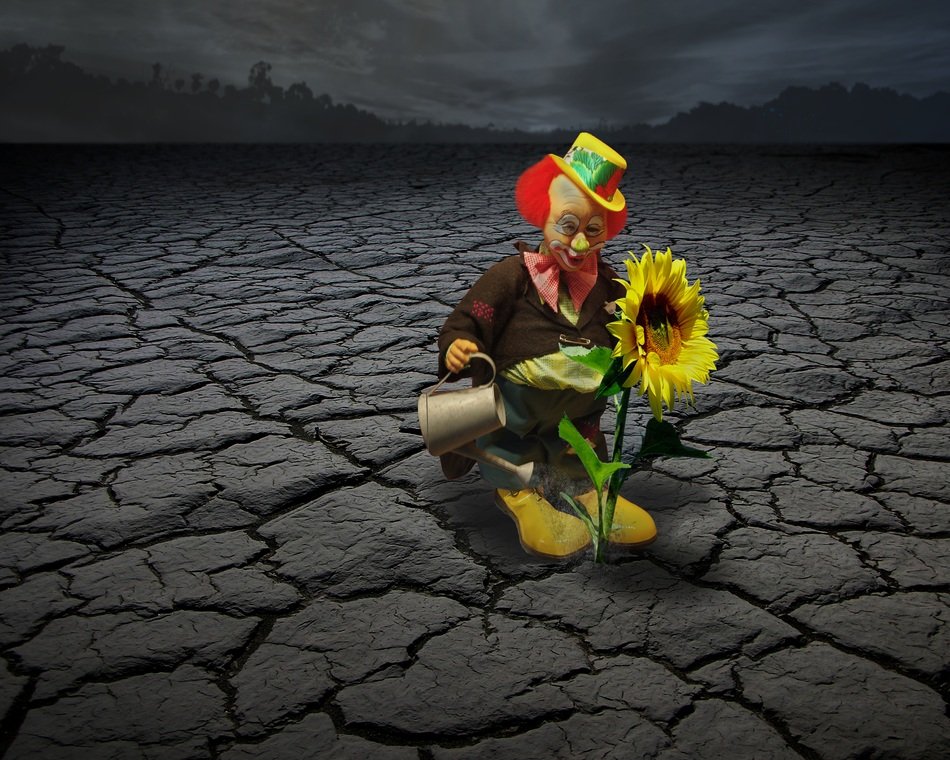 computer image of a clown watering a sunflower