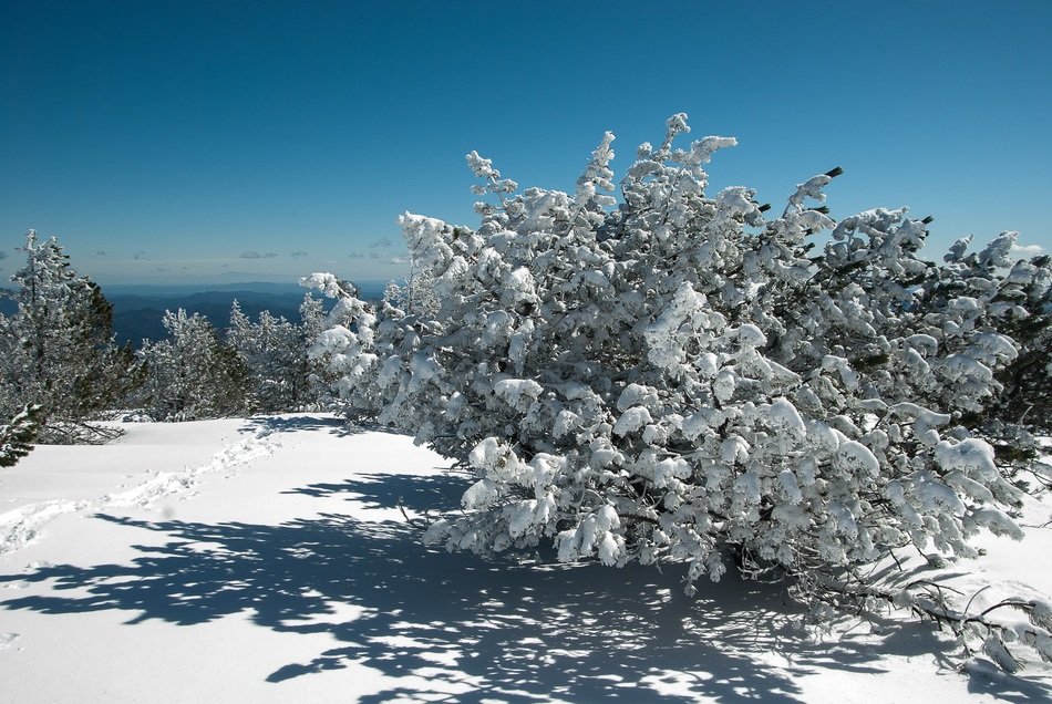 wonderful Winter Landscape