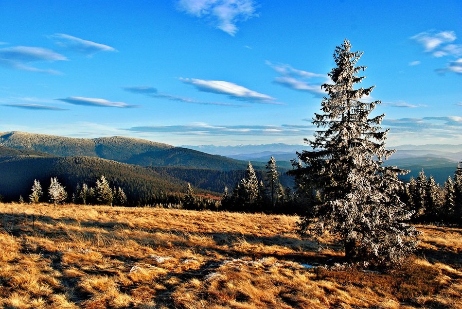 Landscape of Hala Rysianka in the Tatras