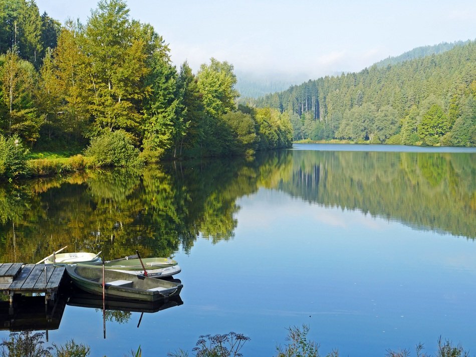 Ladies Nagold Northern Black Forest