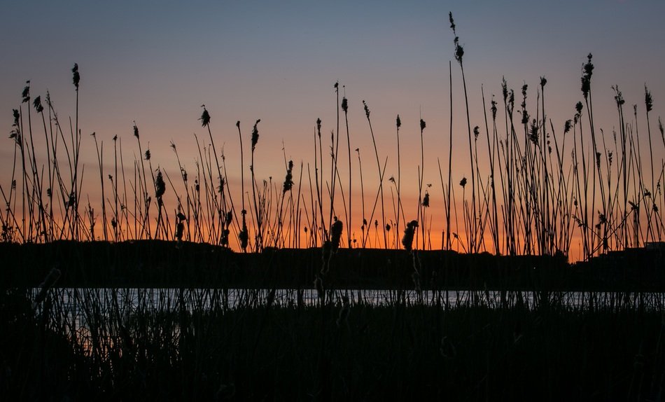 Lake Sunset Natural