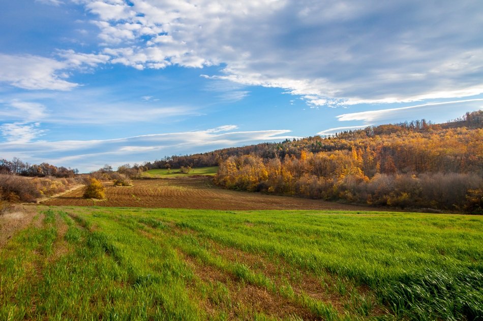 countryside in bulgaria