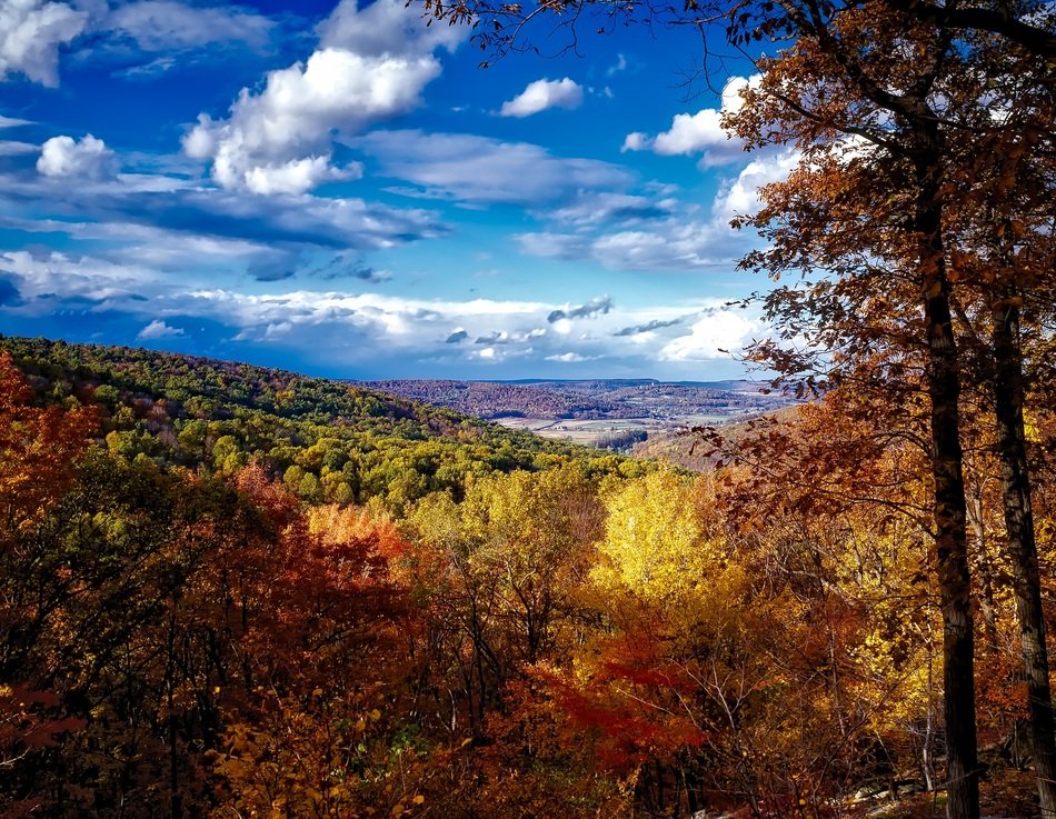 landscape in the mountains Catoctin