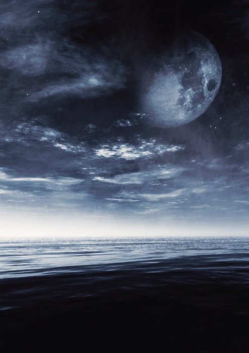 elegant Moon