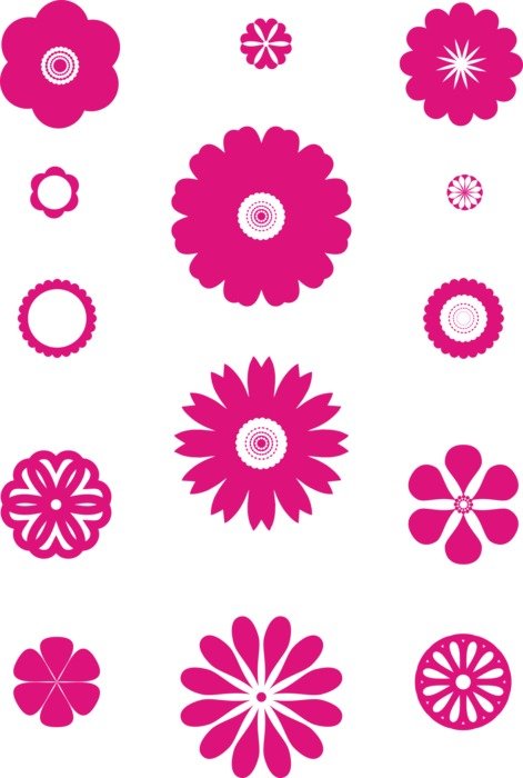different pink flowers as a graphic illustration on white background