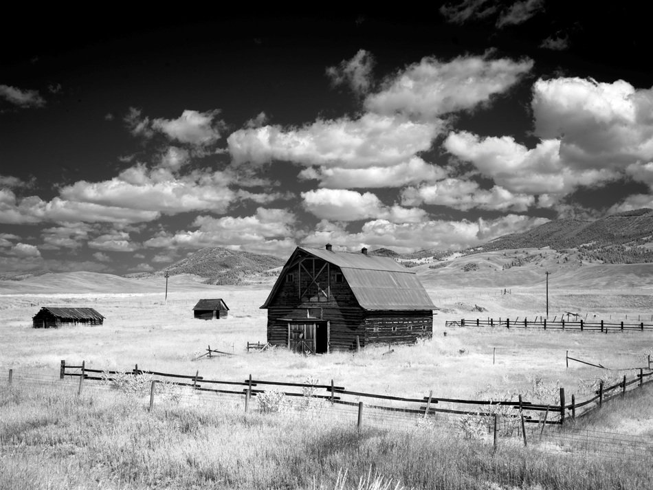 black and white photo of a barn on a field