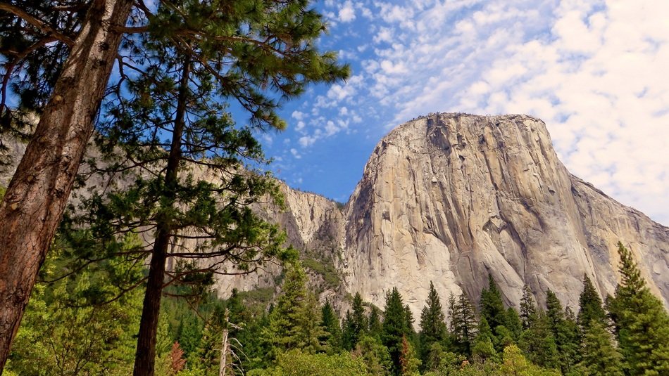 elegant Yosemite Park