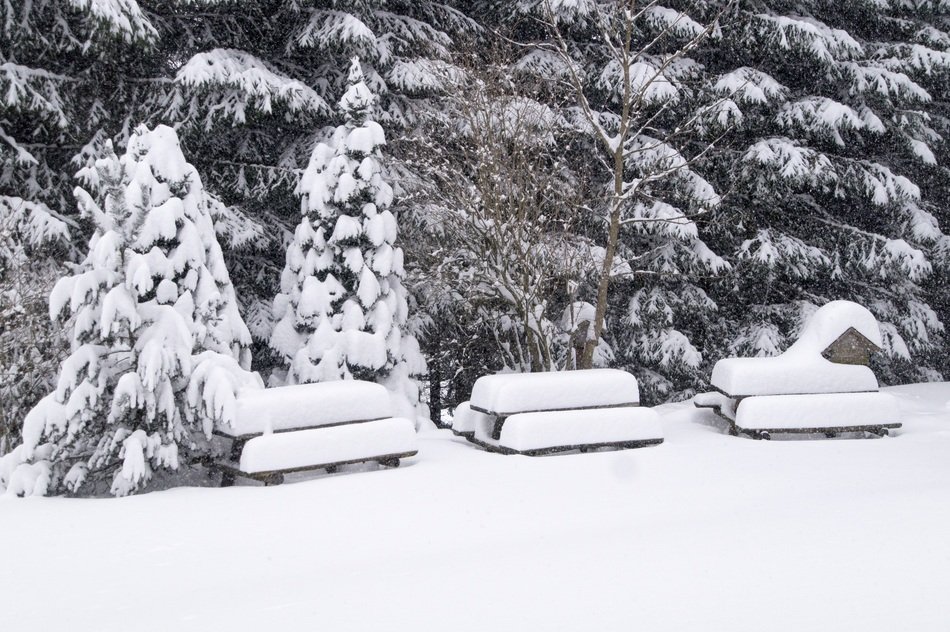 Snow Winter Landscape