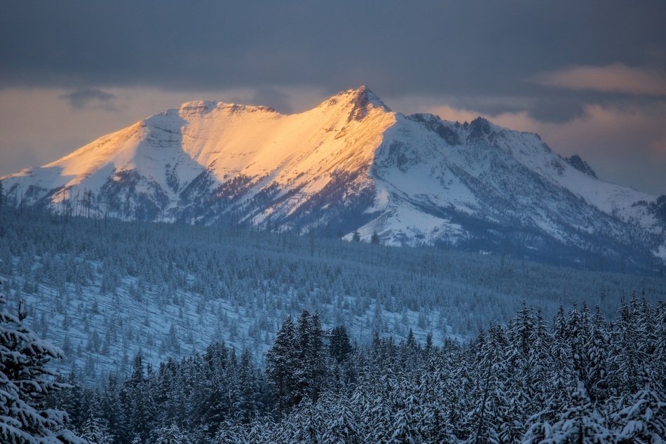 Landscape of the mountains in Yellowstone National Park