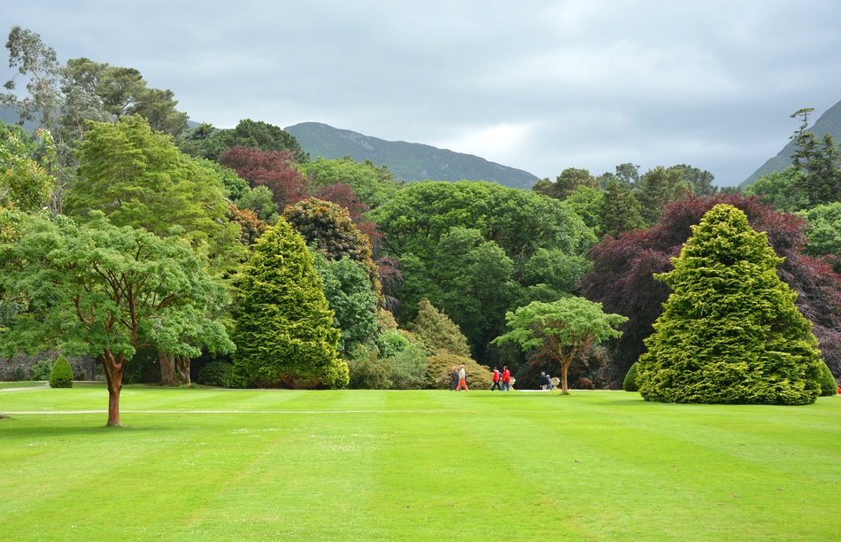 park with green trees and meadow