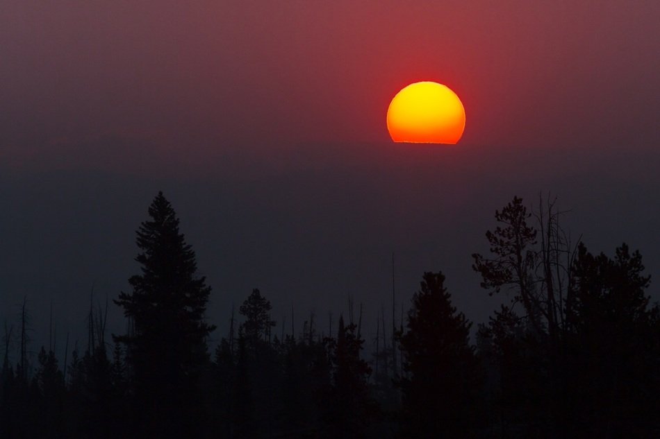 incandescent sun in the evening