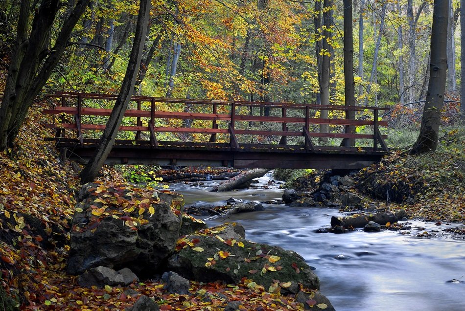 bridge over the river in the valley in the autumn forest