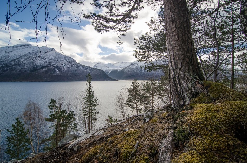 view from the shore to a mountain landscape near the water