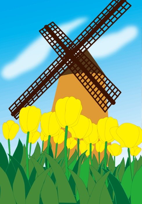yellow tulips near the mill as a colorful drawing