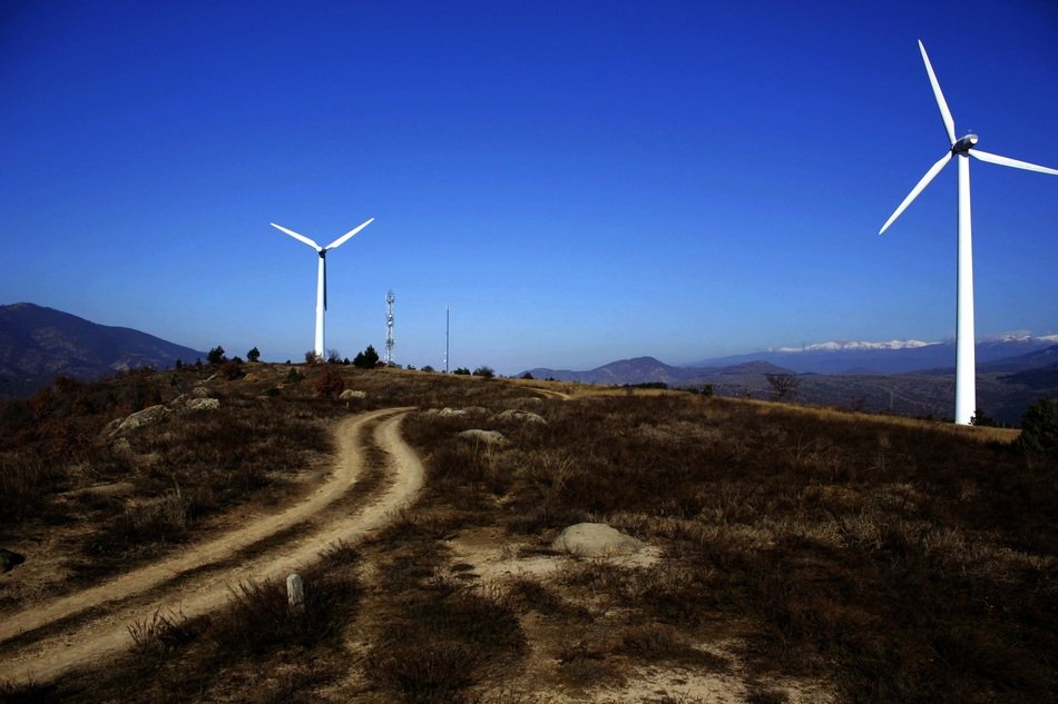 dirt road along wind turbines