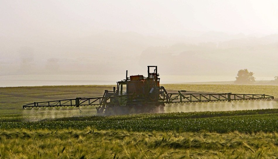 pest management on the green field