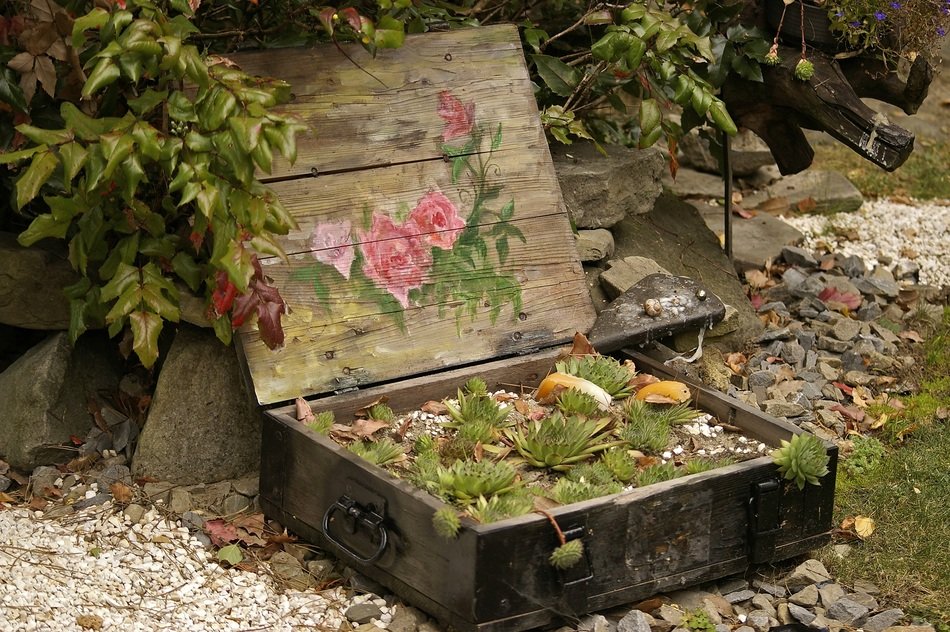 arrangement of the garden plants