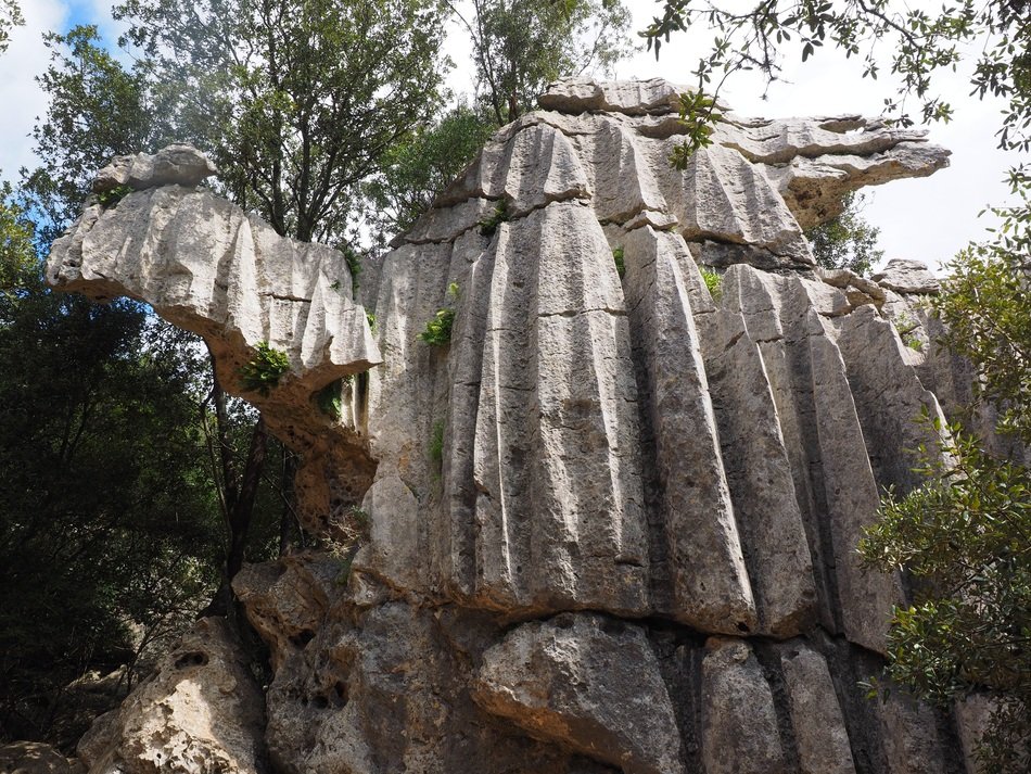Picture of Limestone