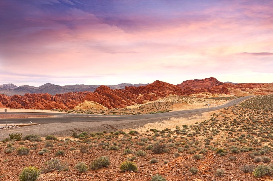road in the valley of fire in nevada