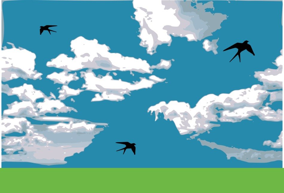 graphic image of black swallows in a cloudy sky