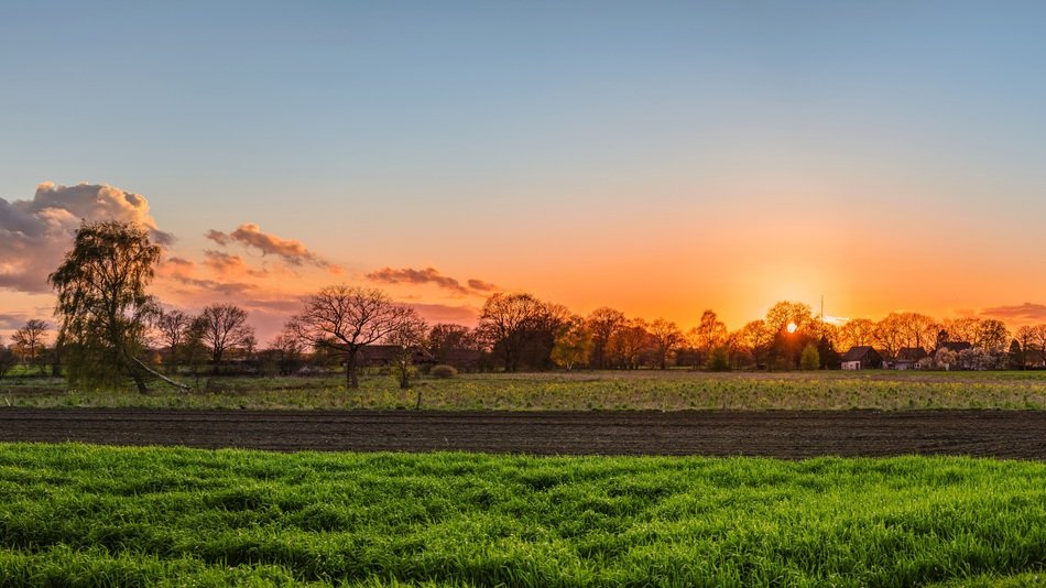Afterglow on the field in the evening