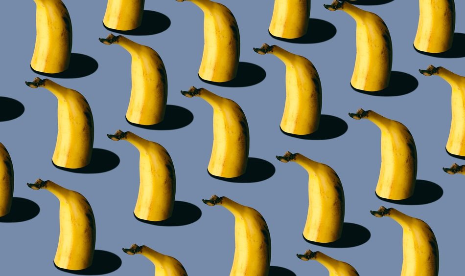 fanatastic banana forest