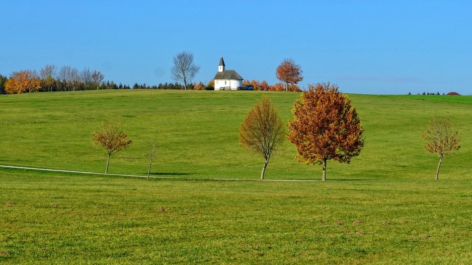 autumn trees among the green field with chapel on the hill in Bavaria