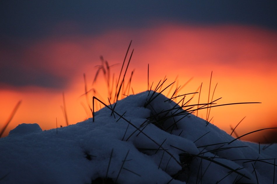hill in the snow at sunset