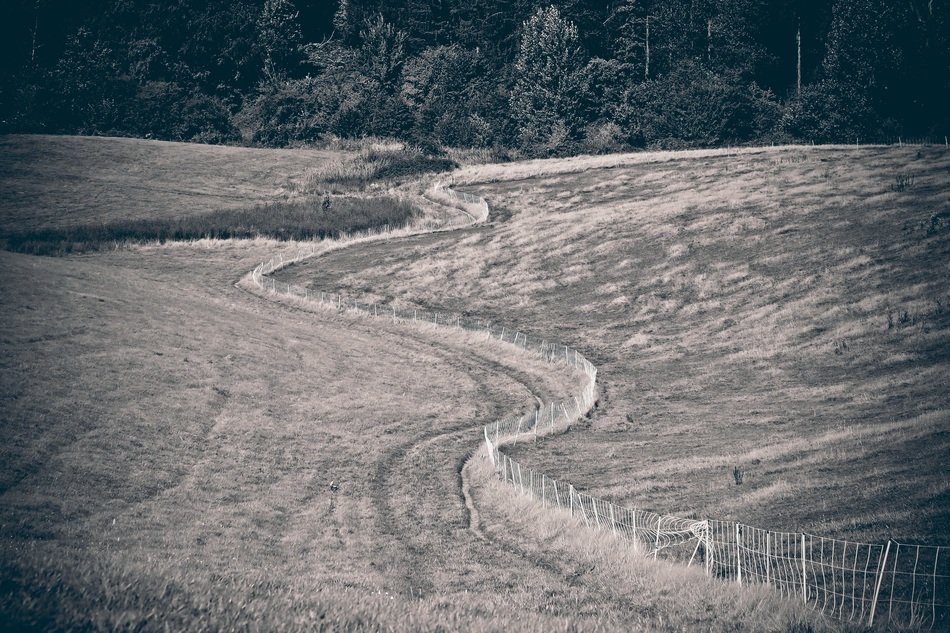 black and white image of arable field