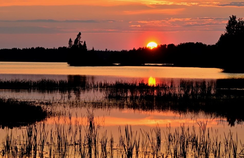 sun in the sunset behind the trees near the lake