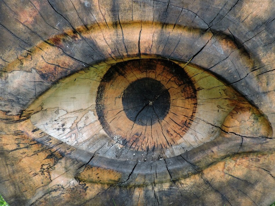 Eye Wood Close Carved