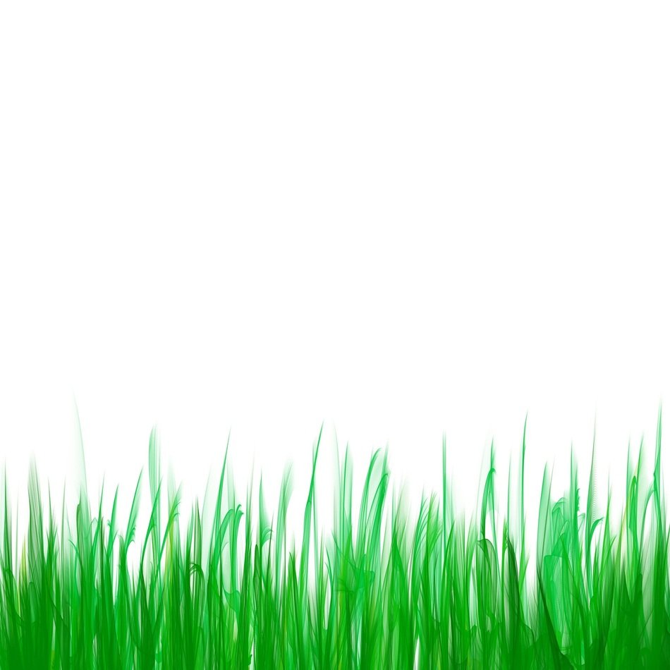 wallpaper with green grass footer