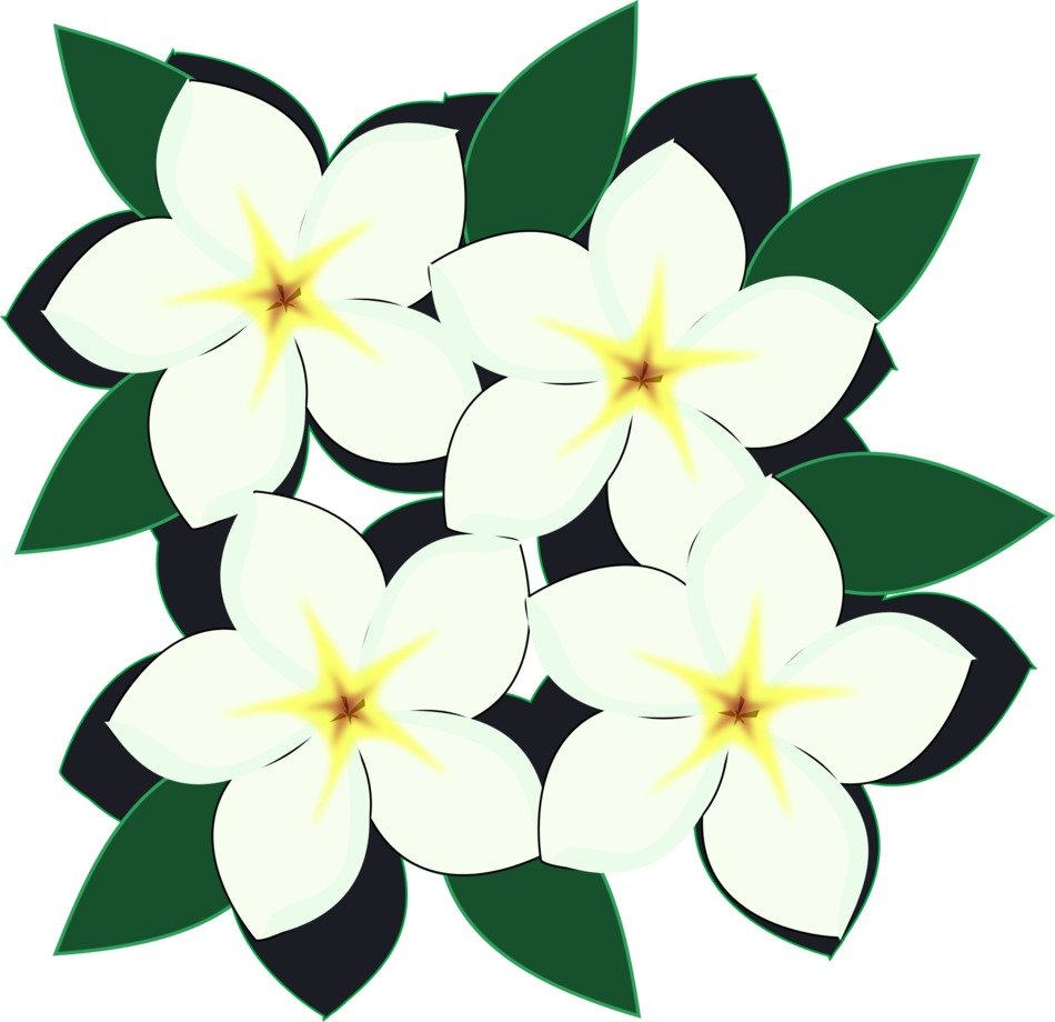 flowers with green leaves on a white background