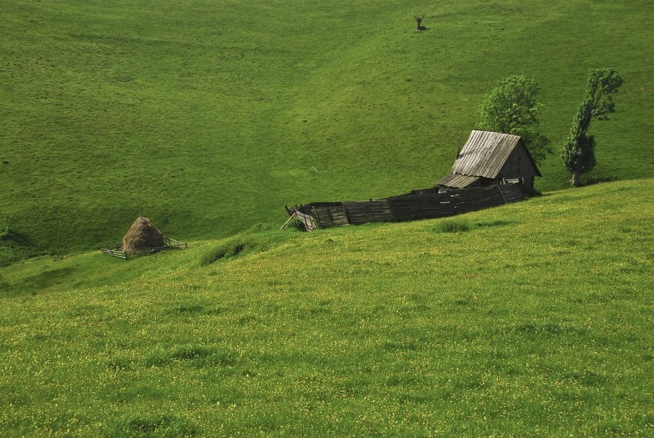 stunning Sheepfold Rustic
