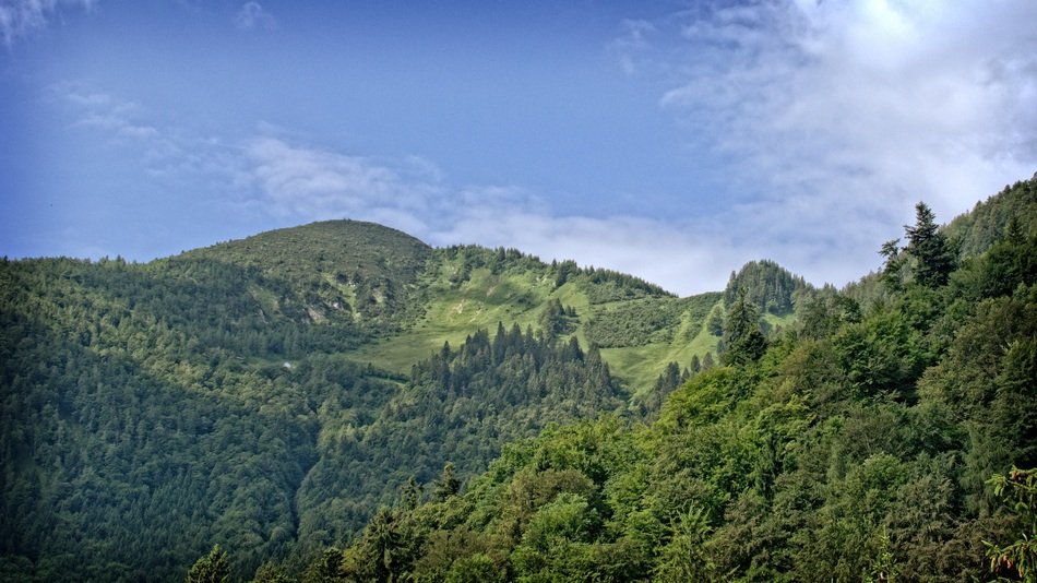 landscape in the mountains of bavaria
