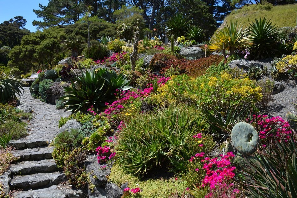 trail near flower glades in a botanical garden