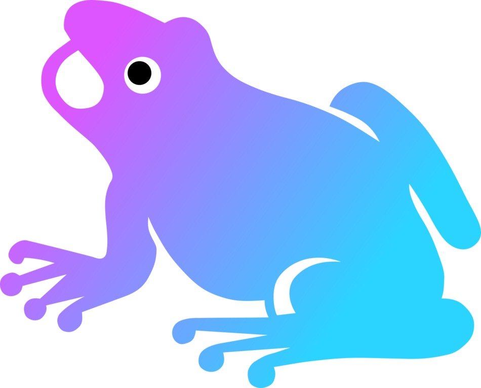 Colorize Frog drawing