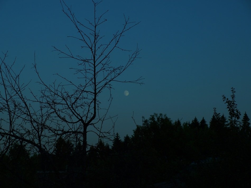 Moon in the evening