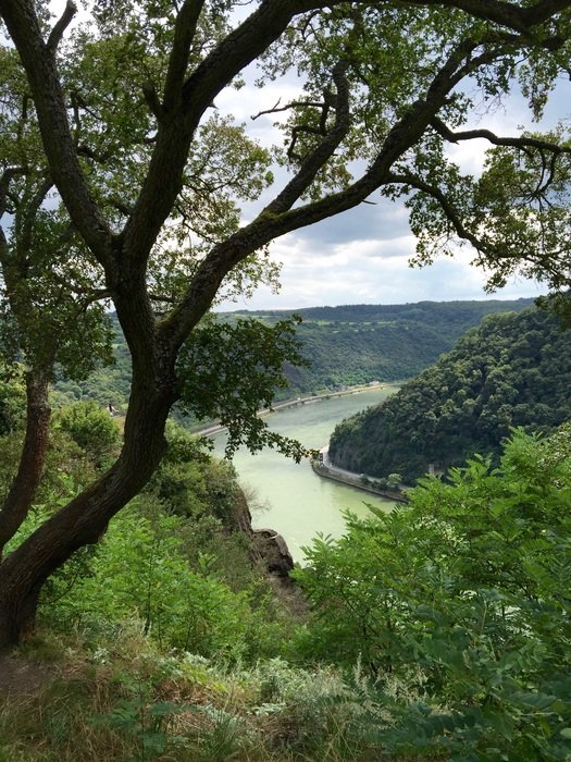 Rhine River streaming in scenic valley at summer